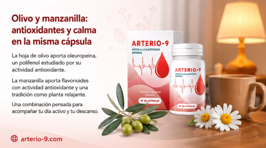Hoja de olivo y manzanilla combinadas en {{OFFER_NAME}}